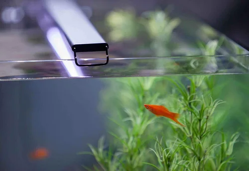 Vista 5 de Satélite de agua para acuario con luz LED