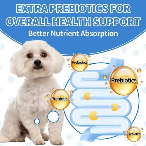 Vista 7 de Apoyo digestivo e intestinal para gatos y perros - Probióticos masticables suaves para gatos + suplemento de antibióticos de hierbas para perros
