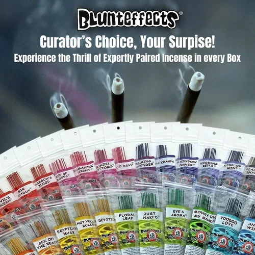 Vista 2 de Blunteffects Incienso pequeño bañado a mano - Caja de 72 paquetes surtidos