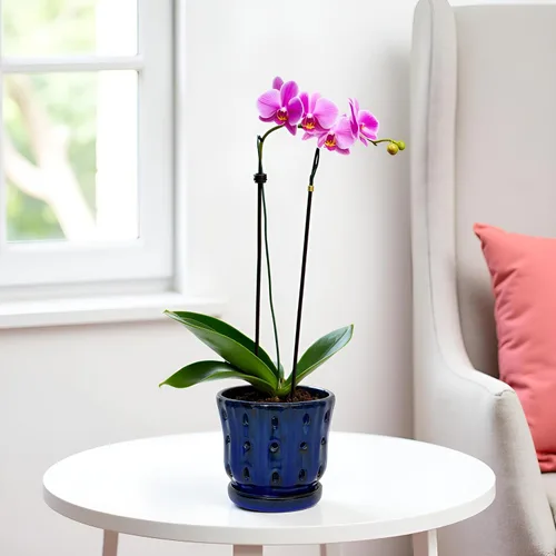 Vista 6 de Ceramic Orchid Pots with Holes 5'' Orchid Planter Set of 2 Azul oscuro