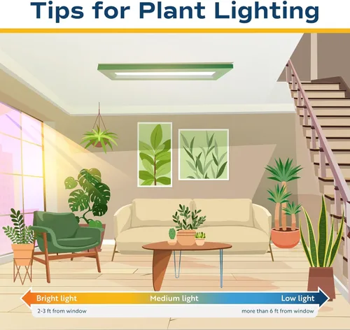 Vista 10 de Costa Farms – Planta de Pothos Albo Variegado viva en maceta auto-regante, purificadora de aire para interior, perfecta para decoración del hogar