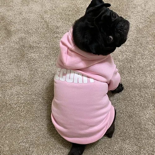 Vista 6 de BINGPET - Sudaderas con capucha de seguridad para perros, suéter para cachorros, abrigos para perros para clima frío, suéter con capucha de forro #1