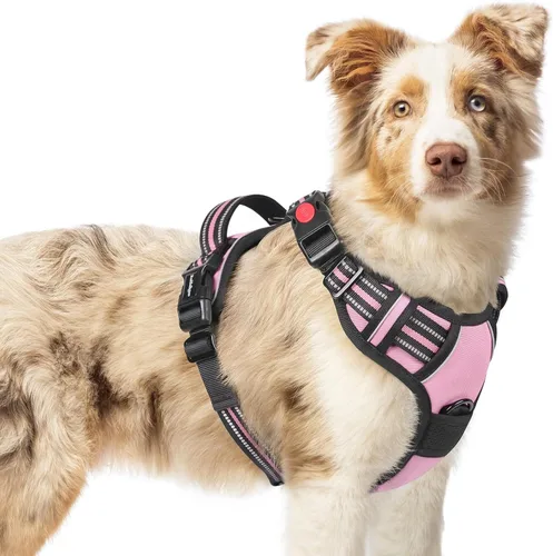 Vista 68 de Rabbitgoo - Arnés para perro de tamaño pequeño, actualizado, fácil de poner y quitar con 3 hebillas Sin tirones, sin estrangulamiento, caminar