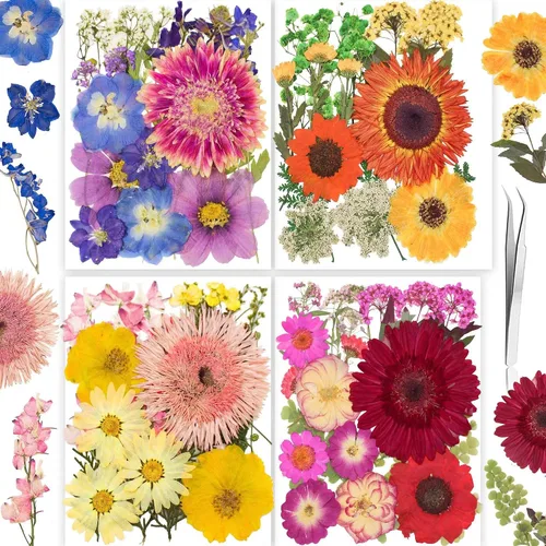 Vista 10 de 96 piezas de flores blancas secas y prensadas vintage para manualidades con resina - Juego de flores naturales reales de YouthBro con 50 calcomanías