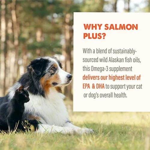 Vista 5 de Grizzly Aceite de salmón Complemento alimenticio para gatos Omega 3 ácidos grasos, 4 onzas