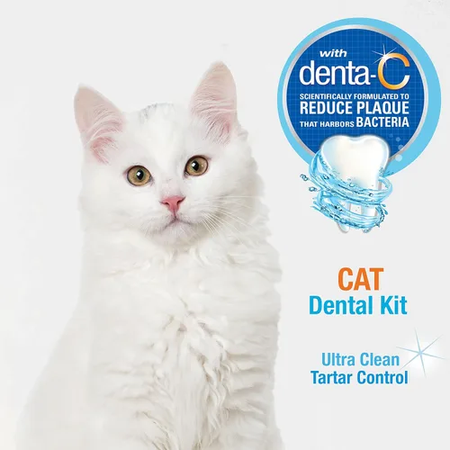 Vista 4 de Set dental del cuidado oral avanzado de Nylabone, Estándar, Adulto, Blanco, azul