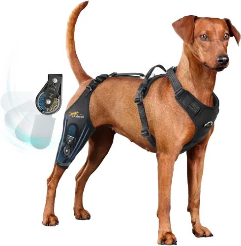 Vista 8 de Rodillera para perro para pierna trasera desgarrada, estabilizador de bisagra ajustable, pierna izquierda, L Dog back brace for Osteoarthritis