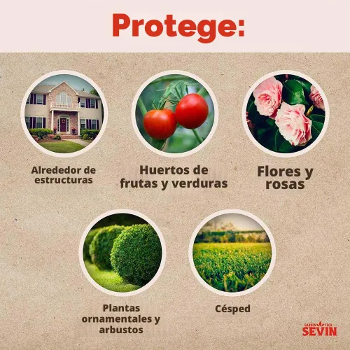 Vista 5 de Garden Tech - Polvo mata insectos Sevin - 1 libra (paquete de 2)
