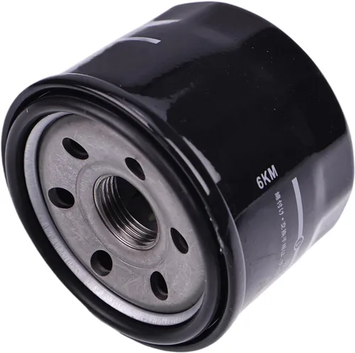 Vista 2 de Nuevo filtro de aceite 16510-87J00 compatible con Suzuki Boat DF25 DF30 DF40 DF50 DF60 DF70