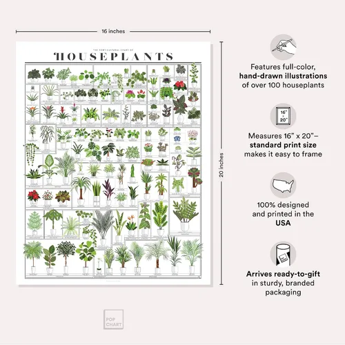 Vista 2 de Pop Chart Tabla hortícola de plantas de interior Arte de pared de 16 x 20 pulgadas Póster botánico Decoración de pared terrosa 100%