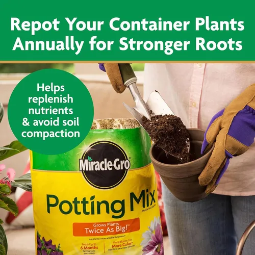 Vista 8 de Miracle-Gro - Mezcla para macetas de 2 pies cúbicos y paquete de 24 picos de alimentos para plantas de interior Garden Soil, Continuous Feeding
