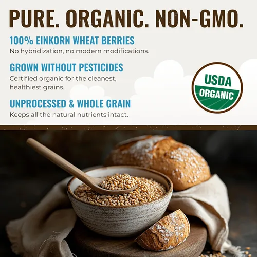 Vista 5 de Grand Teton Ancient Grains - Bayas de Einkorn 100% orgánicas, Farro Piccolo de grado alimenticio premium, bayas de trigo Einkorn, grano Einkorn
