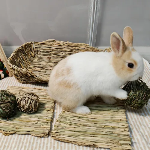 Vista 5 de Hamiledyi Cama de hierba de conejo, alfombrilla de heno natural hecha a mano, bolas masticables para conejo, chinchilla, conejillo de indias, hurón