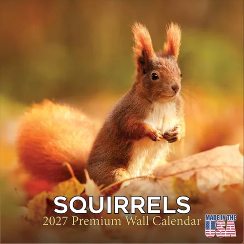 Vista 143 de Calendario de grises africanos 2025 2026 – Planificador mensual de pared de aves africanas – 12 x 18 pulgadas (abierto), calendario de pared
