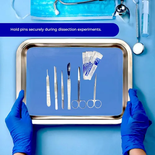 Vista 3 de Sartén de disección 365 de acero inoxidable con almohadilla de plastisol azul de 13 x 9 x 2 pulgadas, bandeja de disección reutilizable duradera