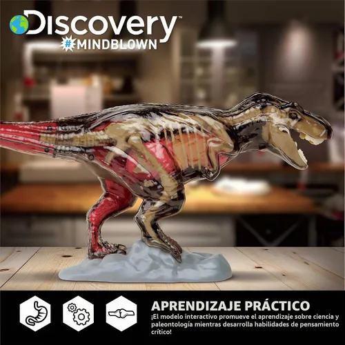 Vista 4 de Discovery Kit de anatomía T-Rex 4D, figura de rompecabezas de dinosaurio jurásico, modelo interactivo de arqueología y paleontología, aprende