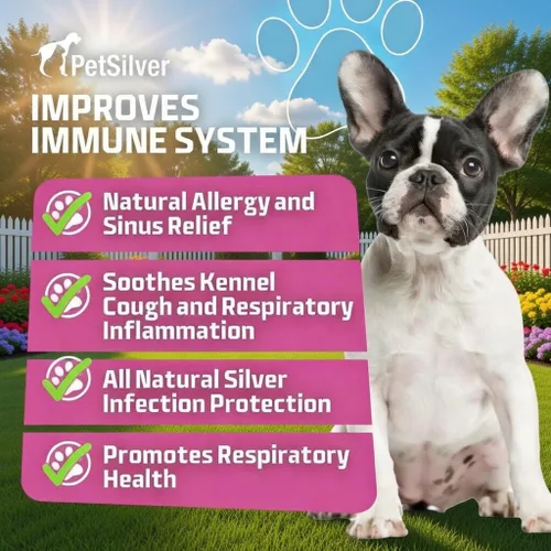 Vista 2 de PetSilver Apoyo inmunológico, solución nebulizadora natural, promueve la salud respiratoria en gatos y perros, alergias, tratamiento de senos