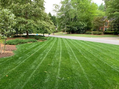 Vista 2 de Hancock Seed Co. Champion GQ Perennial Ryegrass Seed, 5 libras.