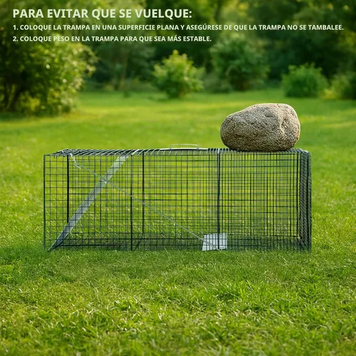 Vista 7 de HOMESTEAD Trampa para animales vivos de alta resistencia de 42 pulgadas Gatillo profesional de ajuste rápido, placa de cebo, malla resistente al