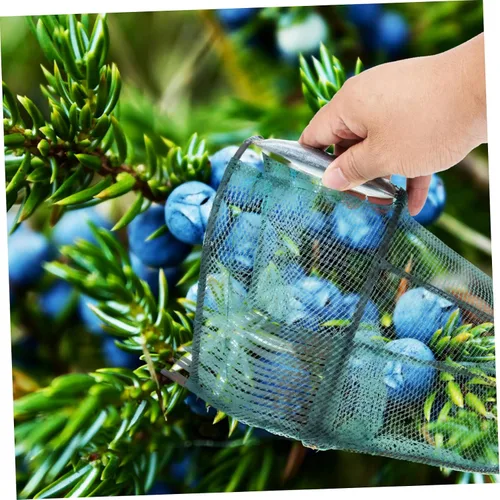 Vista 7 de Recogedor de frutas cesta Berry rastrillo peine arándano herramienta jardín fruta captura dispositivo