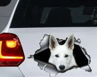 Vista 9 de Calcomanía roja de perro salchicha de pelo largo, calcomanía para mascotas, calcomanía de perro salchicha rojo, calcomanía de vinilo para perro