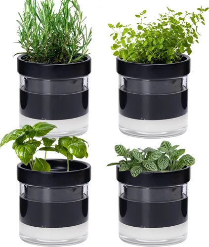 Vista 22 de Phoenix Vine Maceta de riego automático de 4 pulgadas, maceta de arcilla de terracota con depósito de vidrio para plantas de interior, hierbas