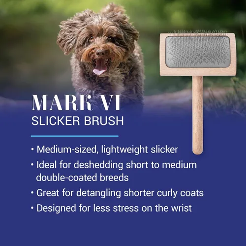 Vista 2 de Chris Christensen Mark VI - Cepillo deslizante de espalda curvada para perros, pasadores de 0.472 in, mango ergonómico de madera de haya ligera