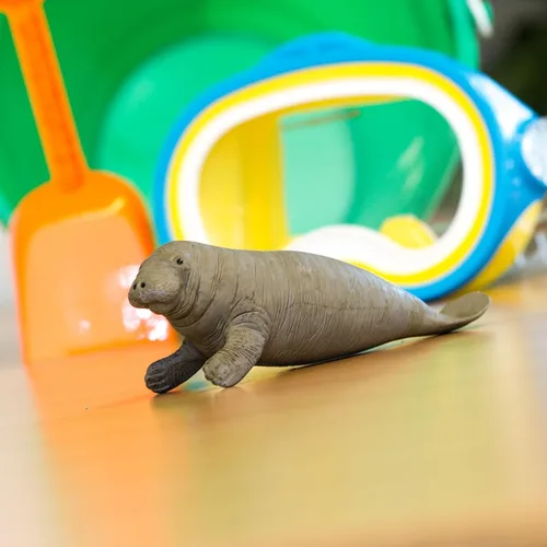 Vista 6 de Safari Ltd. Figura de Manatee – Figura detallada de plástico de 6 pulgadas – Divertido juguete educativo para niños, niñas y niños a partir de 3 años
