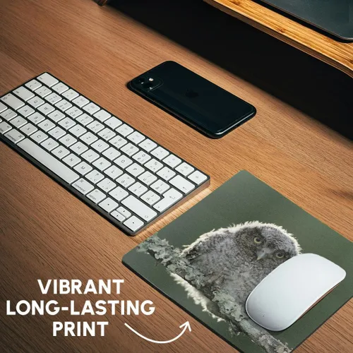 Vista 6 de 3dRose LLC 8 x 8 x 0.25 inches Mouse Pad, Eastern screech-owl, Rio Grande Valley, Texas, Rolf Nussbaumer