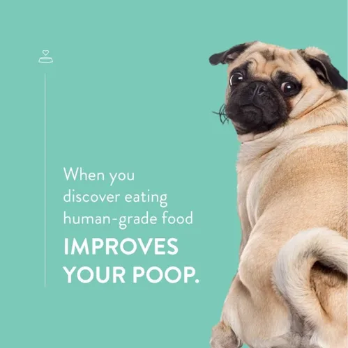 Vista 9 de CRAFTED BY HUMANS LOVED BY DOGS Portland Pet Food Company - Golosinas para perros con galletas de tocino (1 paquete, bolsa de 5 onzas), totalmente