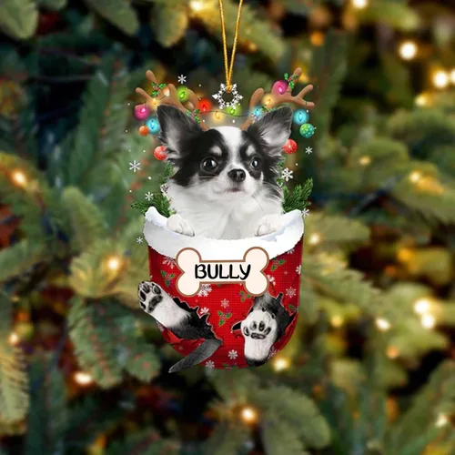 Vista 95 de IZI POD Affenpinscher Adorno de Navidad personalizado para perro, adorno de bolsillo de nieve para perro para árbol de Navidad, adorno acrílico