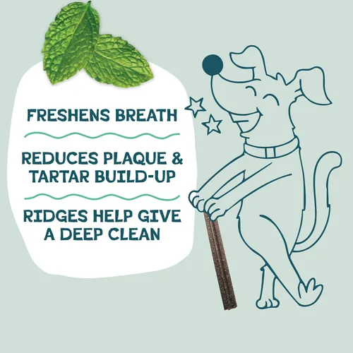 Vista 4 de Shameless Pets Mighty Mint Minis - Masticables dentales para perros, golosinas saludables para limpieza de dientes y aliento fresco, sin granos