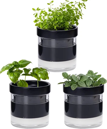 Vista 17 de Phoenix Vine Maceta de riego automático de 4 pulgadas, maceta de arcilla de terracota con depósito de vidrio para plantas de interior, hierbas
