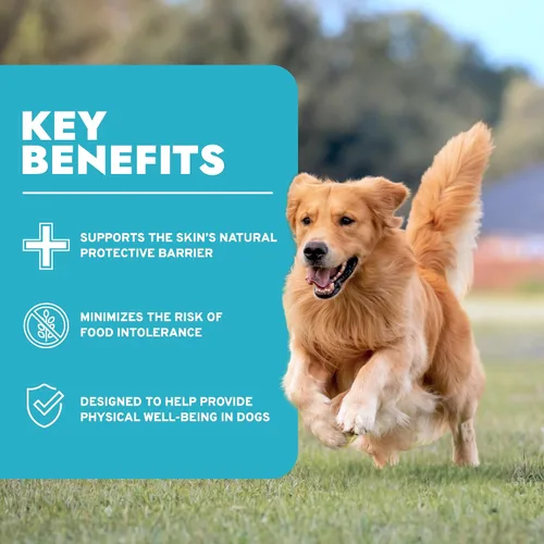 Vista 3 de Forza10 - Alimento para perros, alimento húmedo formulado por veterinarios para alergias, apoyo de la piel y el pelaje, sin OMG, sabor a pescado