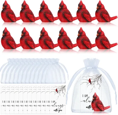 Vista 7 de Roowest El juego de 18 piezas de regalo conmemorativo cardenal incluye mini figuras de estatua de pájaro cardenal rojo, tarjetas de plumas rojas