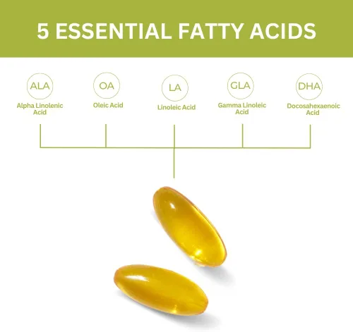 Vista 3 de Youngevity Ultimate EFA - Fuente orgánica de ácidos grasos esenciales Omega 3, 6 y 9 Hecho de borraja, lino y aceite de pescado 180