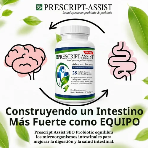Vista 2 de Prescript-Assist Prebióticos y probióticos para la salud digestiva e inmunológica sin proteína de guisante para una rápida absorción, avanzada a