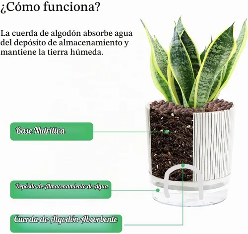 Vista 4 de Macetas de riego automático para plantas de interior, macetas, maceta de riego automático, 2 piezas de 4 + 5.3 pulgadas, rayas negras 2 rayas negras