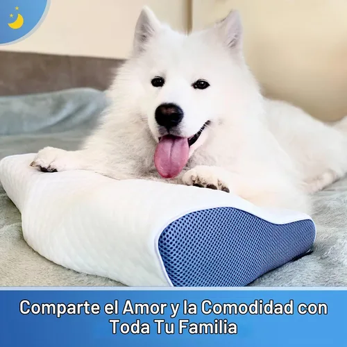 Vista 6 de Derila - Almohada cervical para dormir, espuma viscoelástica de 19.7 x 11.8 pulgadas