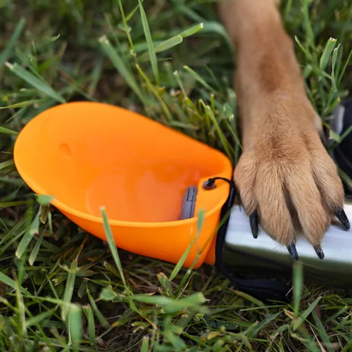 Vista 4 de Messy Mutts Botella de agua de viaje con aislamiento para perros, cuenco Azul