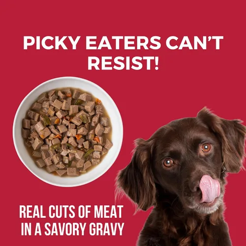 Vista 6 de KOHA Lone Star - Estofado de pechuga para perros con carne de res, fabricado en los Estados Unidos