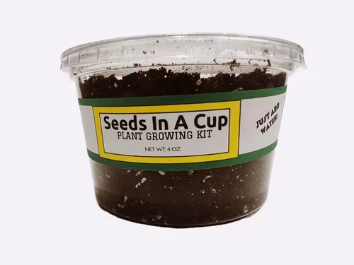 Vista 4 de Semillas en una taza - Kit de cultivo de plantas (tomillo)
