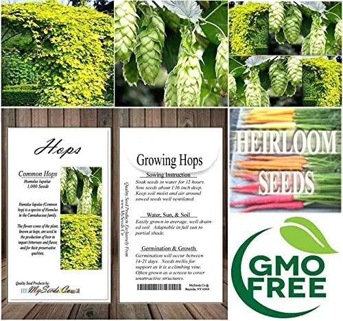 Vista 7 de Big Pack by MySeeds.Co