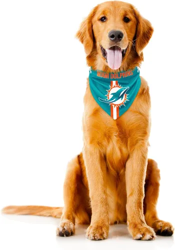 Vista 8 de Bandana de la NFL Team Dog, Rojo, S Arizona Cardinals