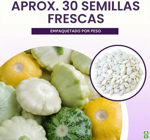 Vista 2 de Semillas de calabaza Heirloom Summer Scallop Blend - Aproximadamente 30 semillas
