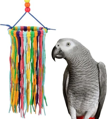 Vista 8 de Super Bird Creations SB1202 - Juguete para pájaros pequeños de arco iris, satisface los instintos de masticación y acicalamiento de loros, conures