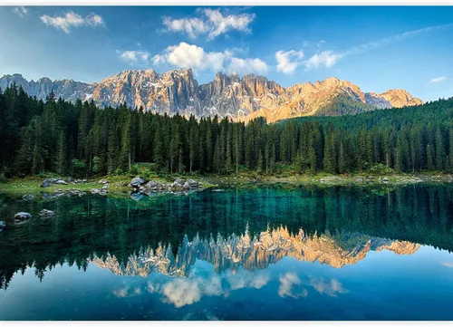 Vista 2 de IDEA4WALL Adhesivo mural removible para pared, bosque de pino sereno, montaña, lago, naturaleza, fotografía, realismo, paisaje decorativo, rústico