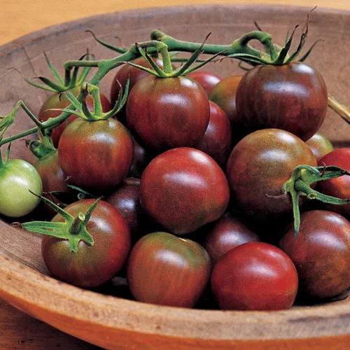Vista 7 de Burpee 'Big Mama' Hybrid Tomate de pasta roja grande 50 semillas Big Mama Híbrido