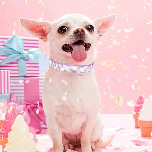 Vista 5 de Collar de perro con diamantes de imitación, de terciopelo suave, de cuero para gato, lindo collar de lujo con tachuelas de diamante, collar