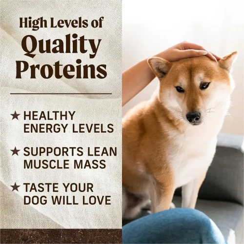 Vista 7 de Merrick Alimento seco premium para perros adultos sin granos, croquetas saludables y naturales, carne de res y batata de Texas real, bolsa de 30.0